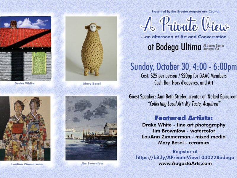 e-flyer for a private view featuring photos of artists work : Drake White, photo of an old barn with a bright red roof and green plywood covered window. Mary Besel, ceramic creature that resembles a llama. LouAnn Zimmerman, mixed media collage of two women wearing traditional Japanese kimonos. Jim Brownlow, oil painting of a dock in icy, cold waters, with dark blue clouds looming over two sailors returning on a dingy.