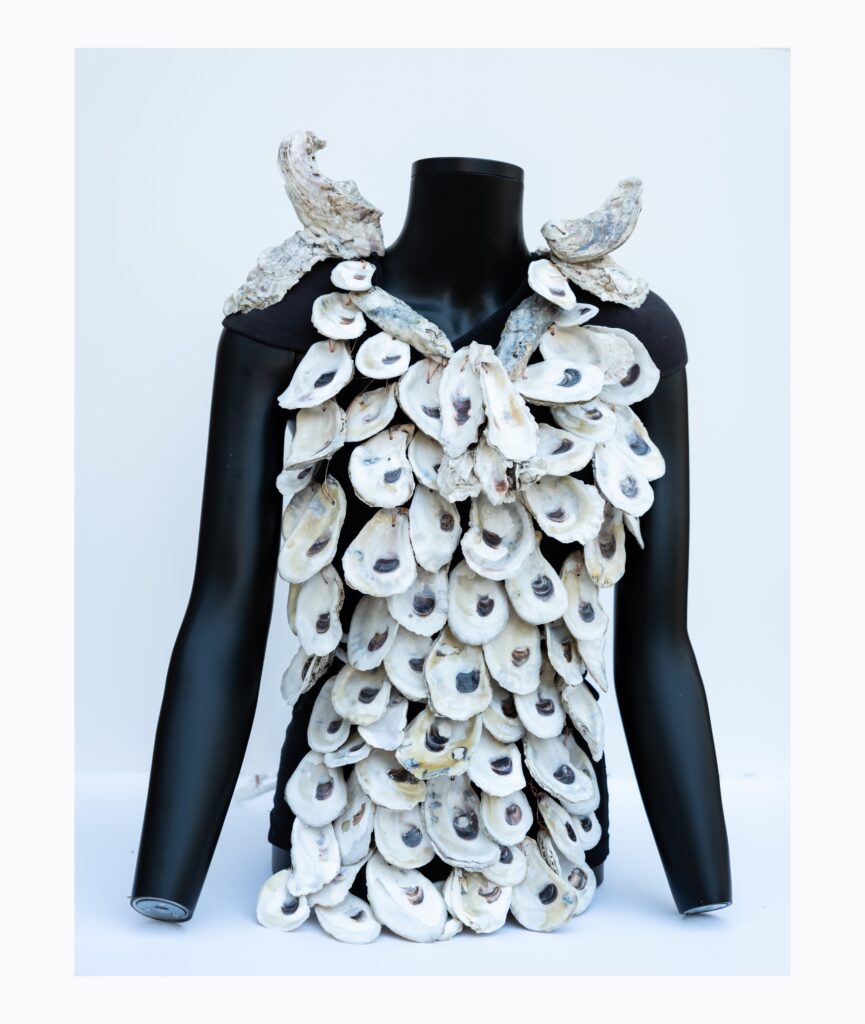 Photo of Beth Droppleman's artwork - oyster shells in an armor formation on a bust.
