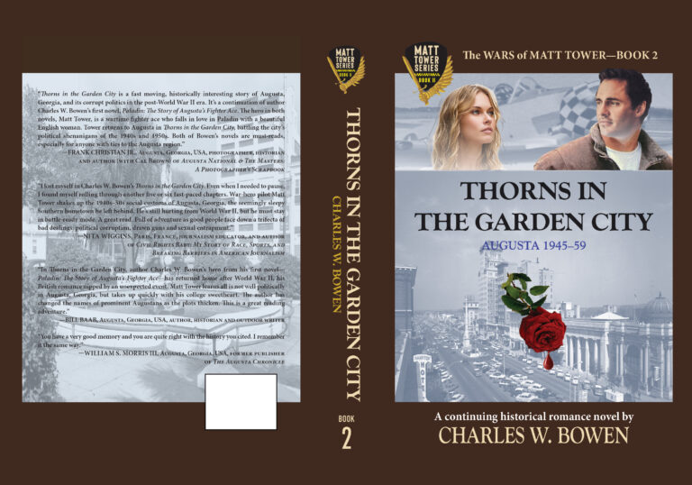 Cover art for Thorns in the Garden City.