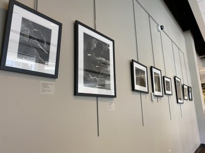 Mark Albertin's black and white portraits of local artists hanging in the city gallery